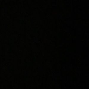 Meet your Posher, Desean